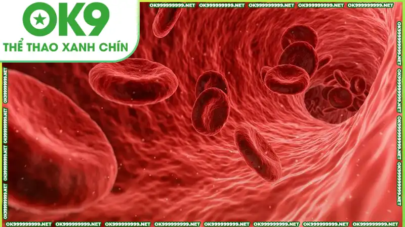 Máu nuôi dưỡng sự sống, mang ý nghĩa tích cực Máu nuôi dưỡng sự sống, mang ý nghĩa tích cực