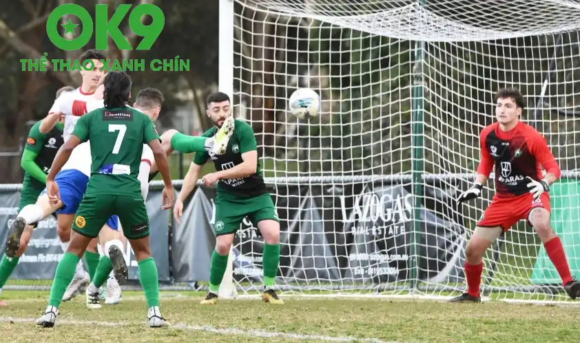 George Cross và Bentleigh Greens hiện đang có cùng 39 điểm trên BXH Victoria 2 George Cross và Bentleigh Greens hiện đang có cùng 39 điểm trên BXH Victoria 2